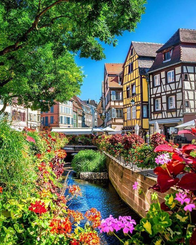 Chez Alice Leilighet Colmar Eksteriør bilde